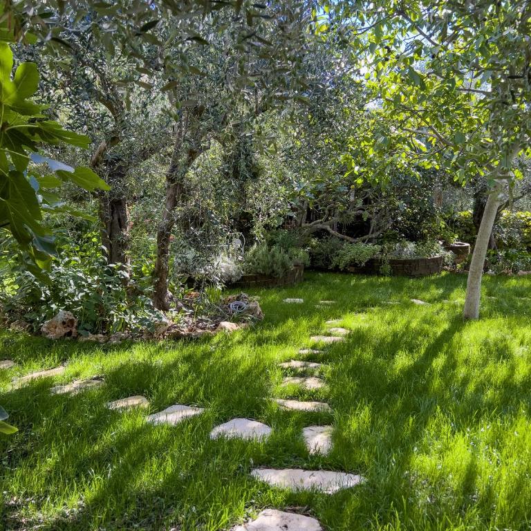 Villa Mimosa Diano Marina: exclusive use villa, garden, barbecue, 3 bedrooms and 3 bathrooms - Villa - 98