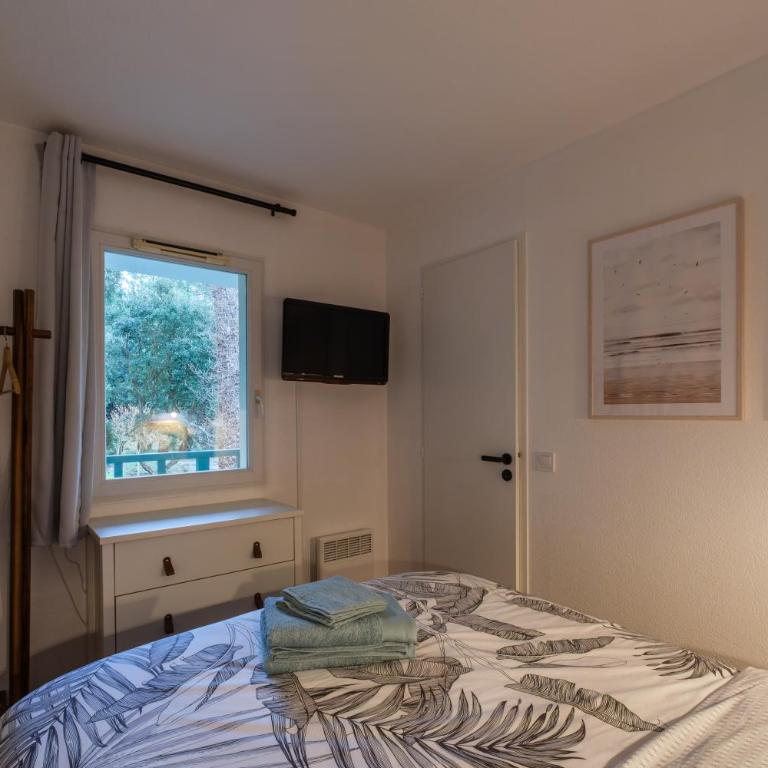 Les Pins dorés le petit nid douillet et cosy - Appartement 1 Chambre - 20