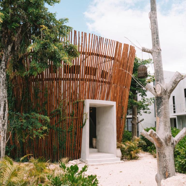Seremonia Selva by Dream Vacay - Estudio con terraza - 21