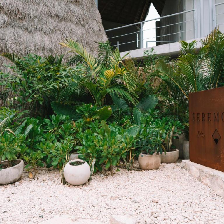 Seremonia Selva by Dream Vacay - Estudio con terraza - 26
