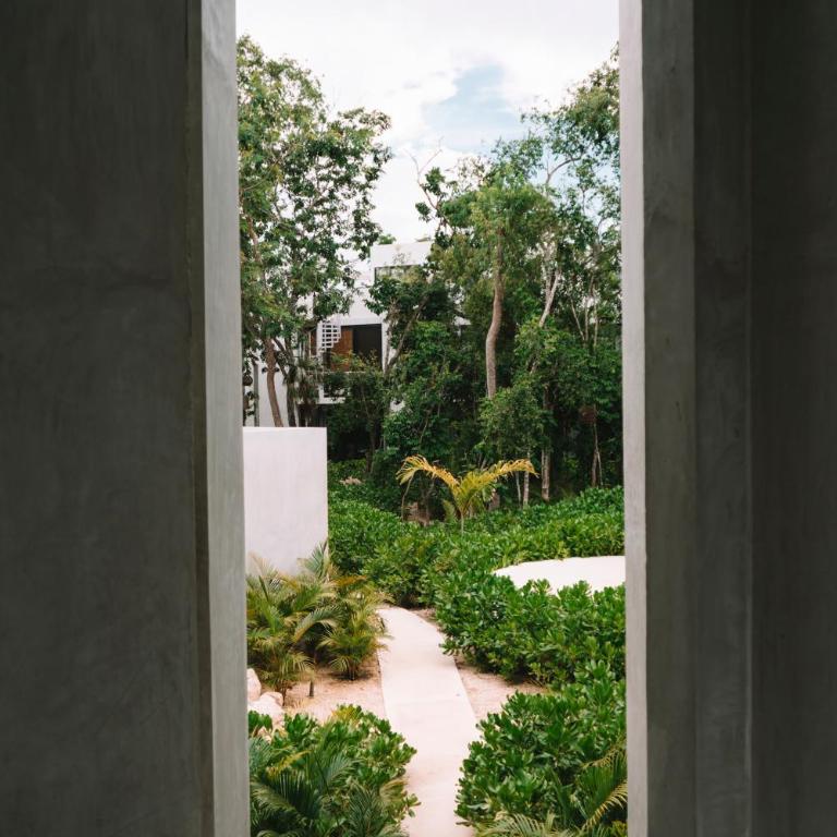 Seremonia Selva by Dream Vacay - Estudio con terraza - 32