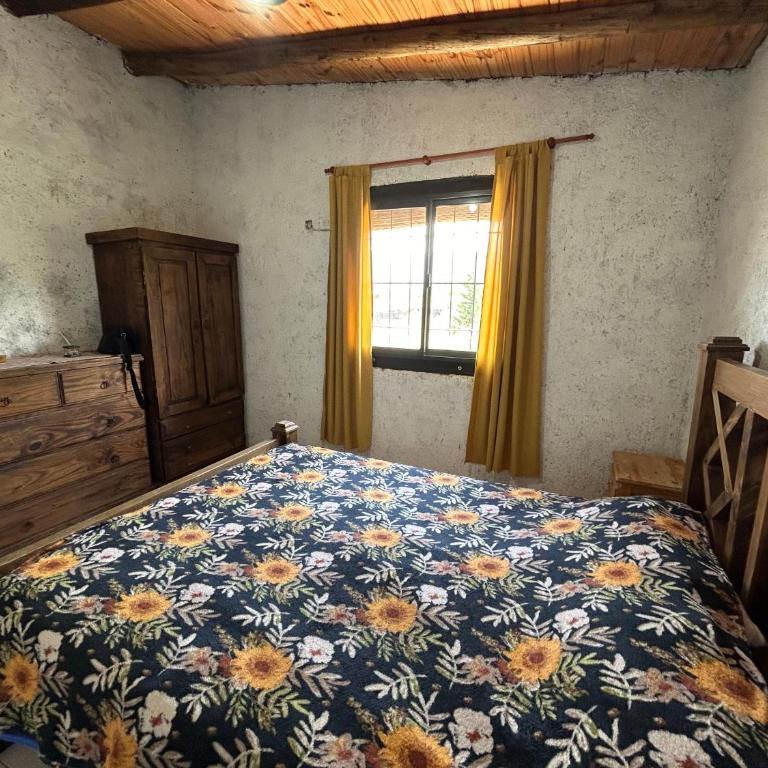 Andes Sol y río cabañas vacacionales en la montaña mendoza - Casa de 2 dormitorios - 7