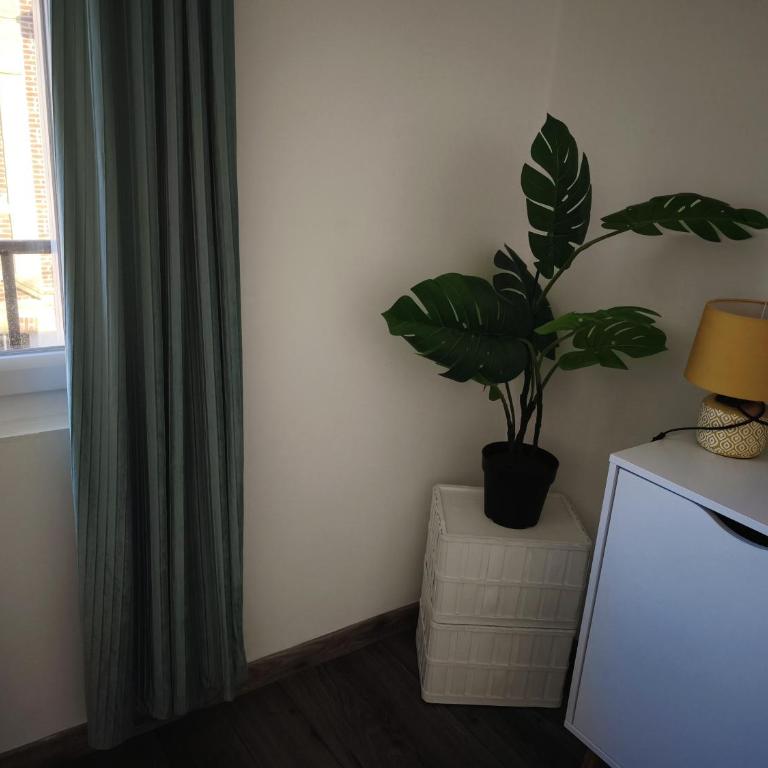 Grand T3 centre du havre - Two-Bedroom Apartment - 20