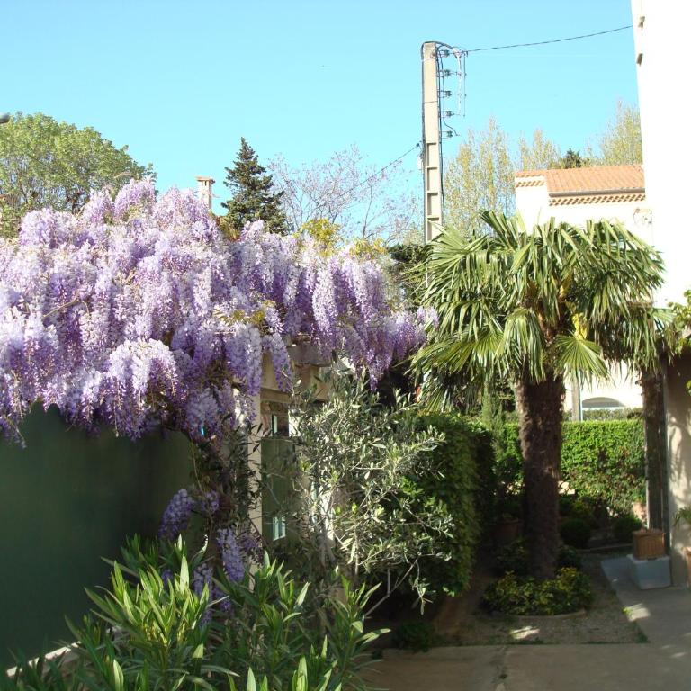 Arles les Alyscamps - Apartment - Erdgeschoss - 8