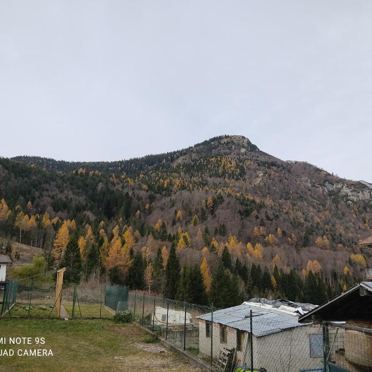 La casa di Leo - Appartamento con 2 Camere da Letto - 30