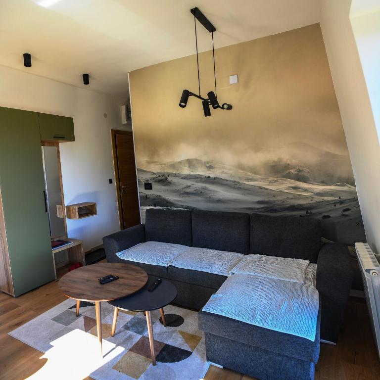 DVOSJED LUXE apartmani Jahorina - One-Bedroom Apartment - 7