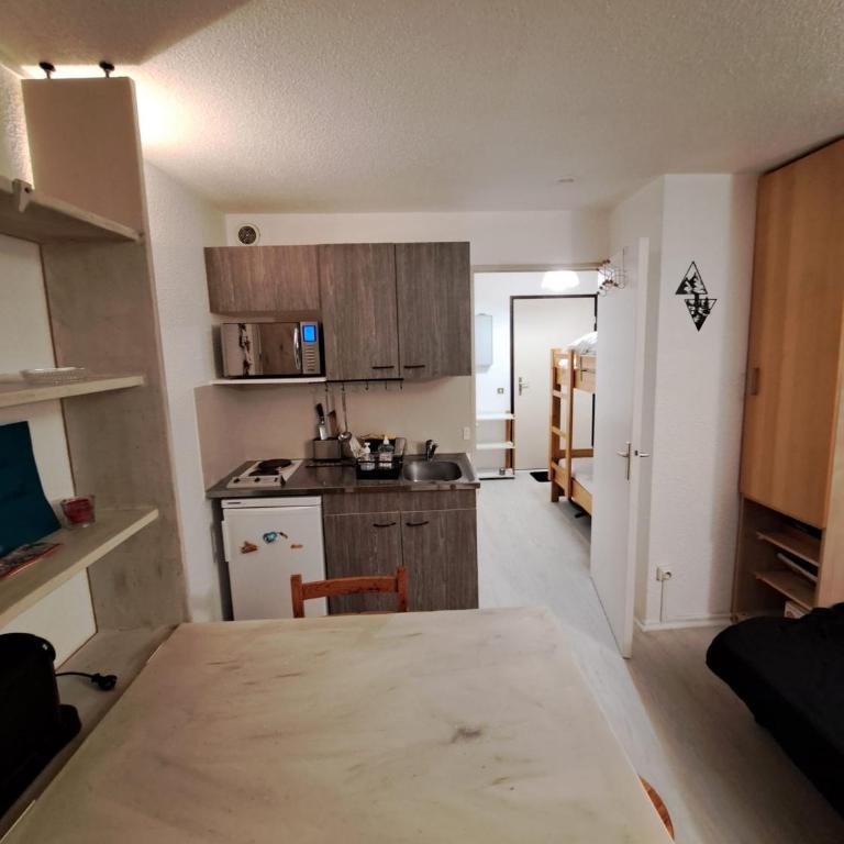 Appart. 4 pers pied des pistes - Studio Familial - 5