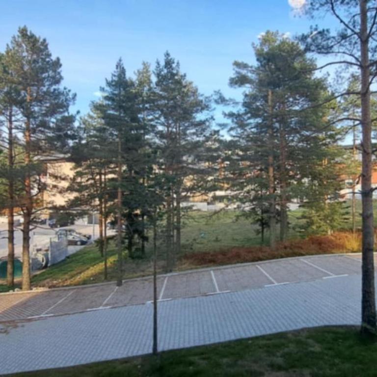 Vila Rosa, apartman 2 - Apartman sa 1 Spavaćom Sobom - 8