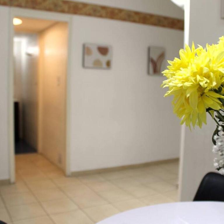 Elegante departamento en Pleno Centro - Apartamento de 2 dormitorios - 46