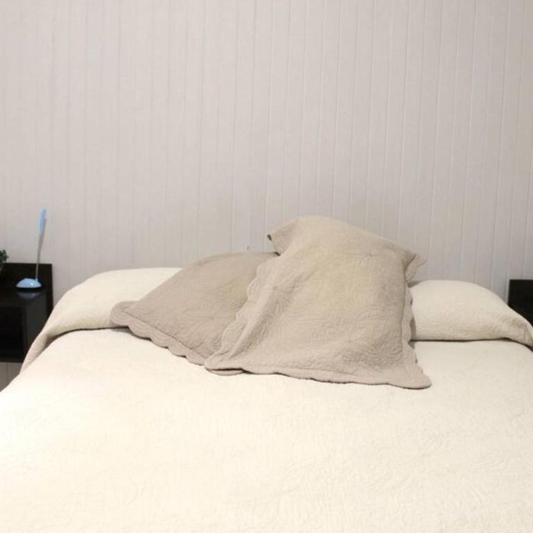Elegante departamento en Pleno Centro - Apartamento de 2 dormitorios - 37
