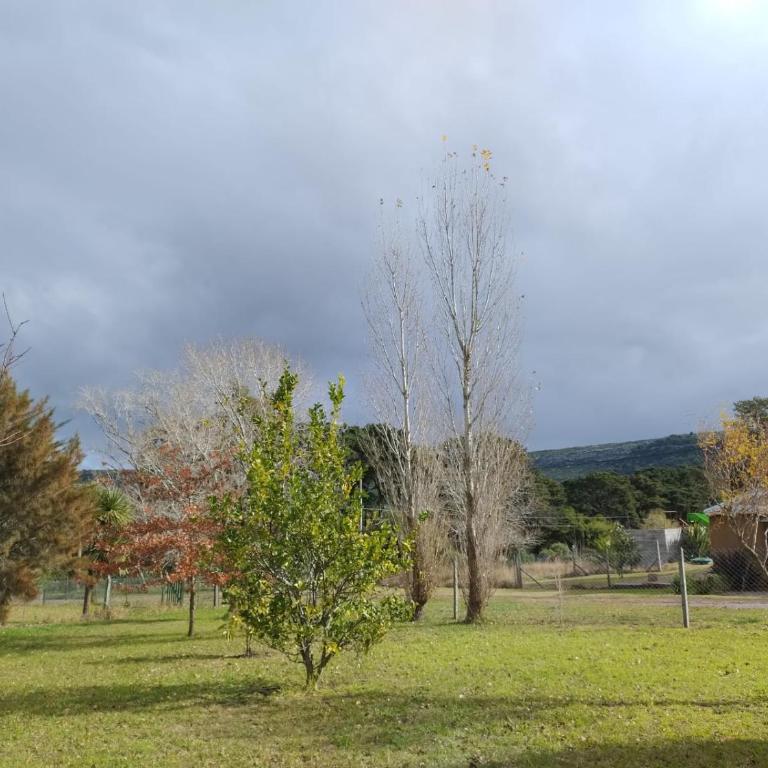 DOS ALAMOS - CASA - Colinas Verdes - Casa de 2 dormitorios - 5