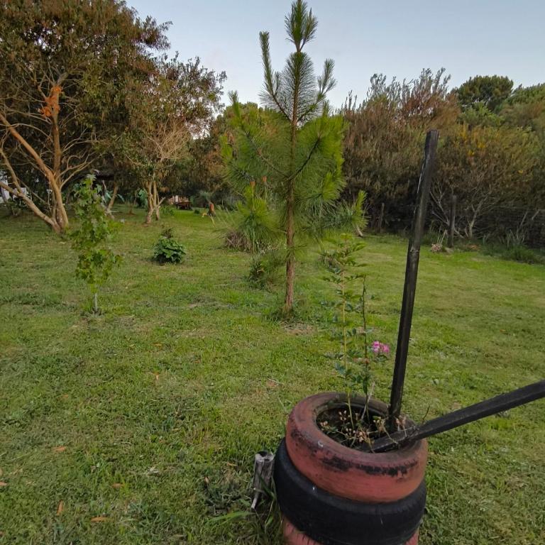 Almar - Two-Bedroom House - 24