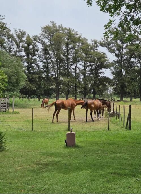 Casa Quinta para Descansar en Mercedes - Five-Bedroom House - 27