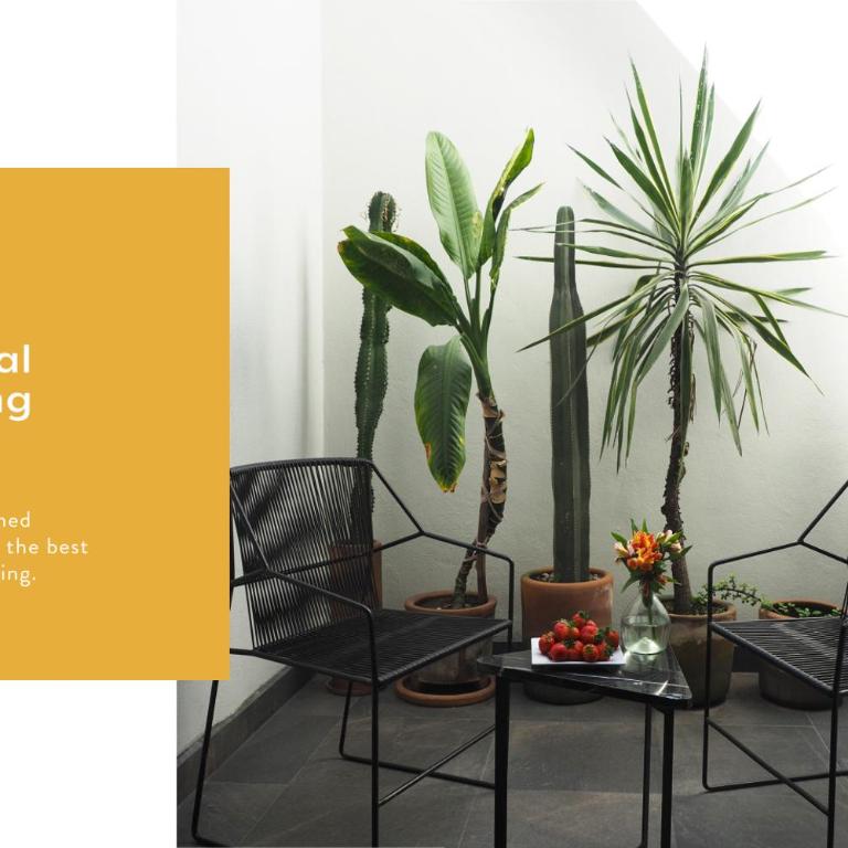 Jardines de Pushkin by The Local Way - Two-Bedroom Apartment - 13