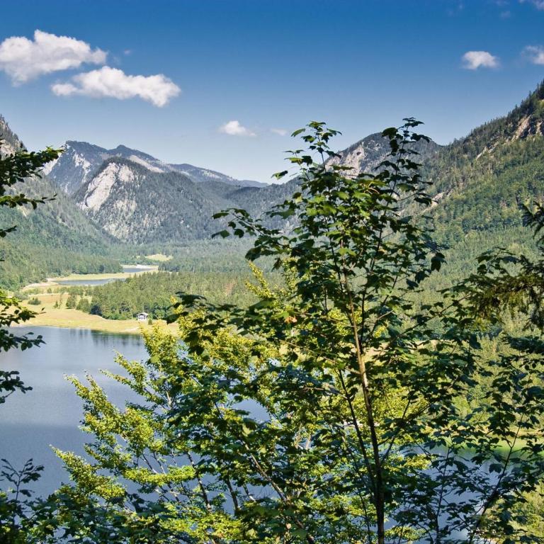 Ferienwohnung in Ruhpolding - Apartment - 18