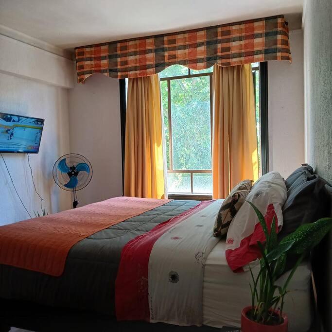 Departamento frente a palacio la moneda - Apartamento de 3 dormitorios - 10