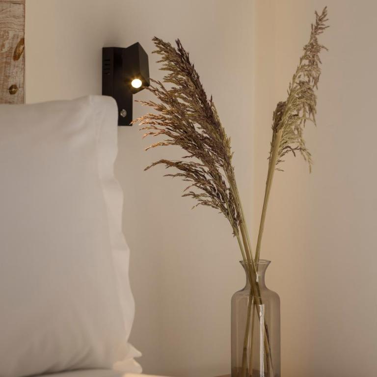Reforma Guest House - Apartamento Junior con terraza - 20