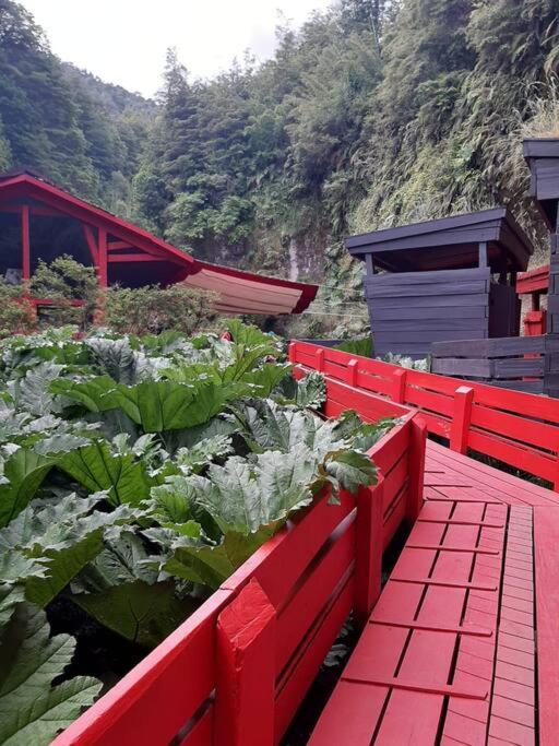Lakustre Cabins - Acogedora cabañita de campo a 7 min de Panguipulli - Casa con 1 dormitorio - 20
