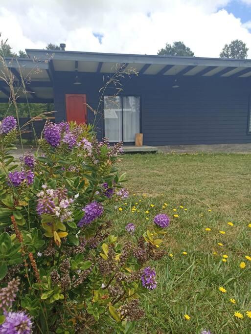 Lakustre Cabins - Acogedora cabañita de campo a 7 min de Panguipulli - Casa con 1 dormitorio - 14