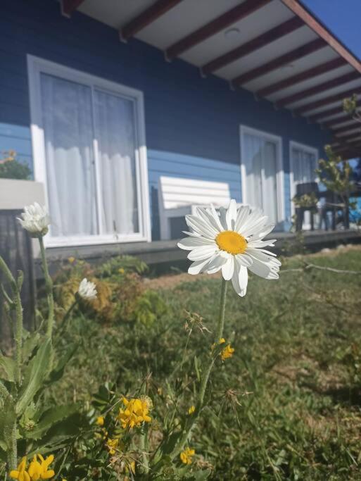 Lakustre Cabins - Acogedora cabaña de campo en Panguipulli - One-Bedroom House - 14