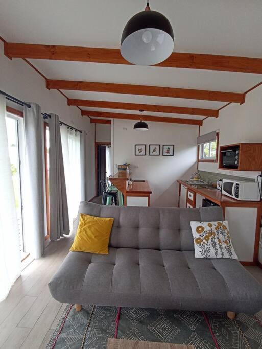 Lakustre Cabins - Acogedora cabaña de campo en Panguipulli - One-Bedroom House - 20