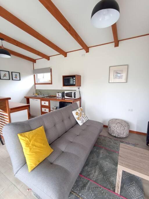 Lakustre Cabins - Acogedora cabaña de campo en Panguipulli - One-Bedroom House - 21