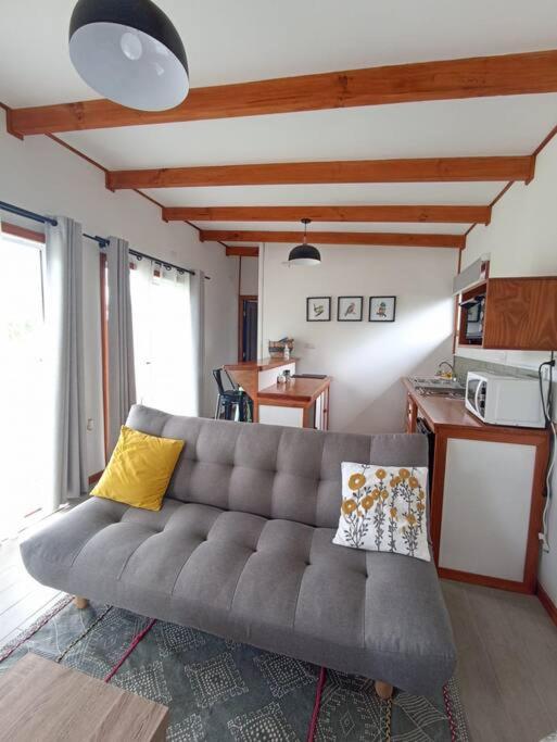 Lakustre Cabins - Acogedora cabaña de campo en Panguipulli - One-Bedroom House - 27