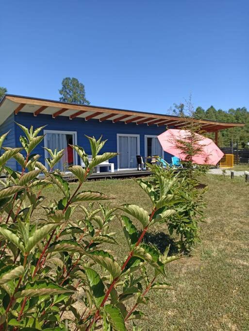 Lakustre Cabins - Acogedora cabaña de campo en Panguipulli - One-Bedroom House - 68