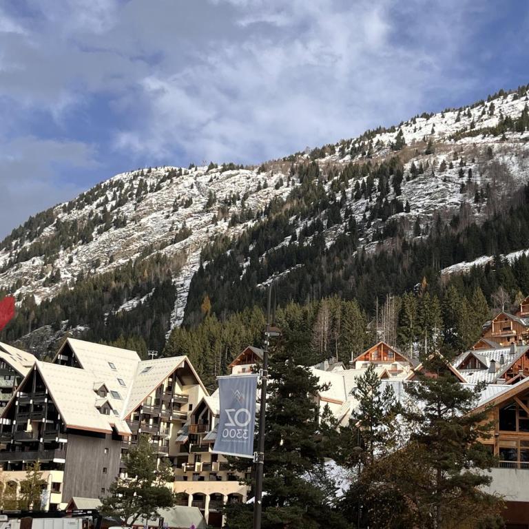 Ski in-ski out-in the centre of Oz Station - Les Myrtilles by OzAlpes - Appartement 1 Chambre avec Balcon et Vue sur les Montagnes - 14