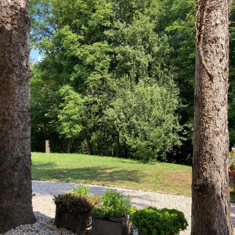 Holiday Home Tunnel Ravne - Double Room with Park View - 20