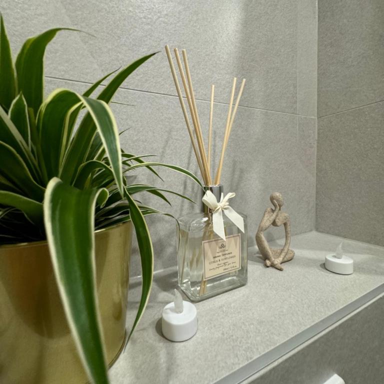 Appartement au centre ville - One-Bedroom Apartment - 4