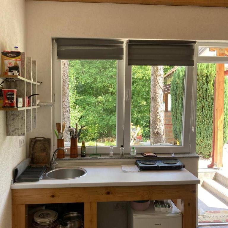 Holiday Home Tunnel Ravne - Double Room with Park View - 10