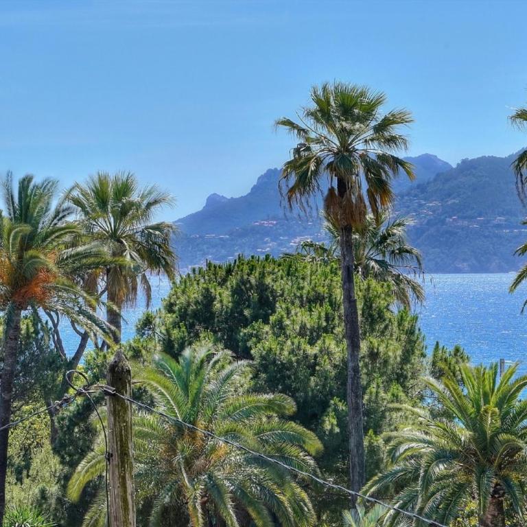 Somptueux 2 chambres vue MER, TERRASSE, PARKING A2B232 - Appartement - Vue sur Mer - 16