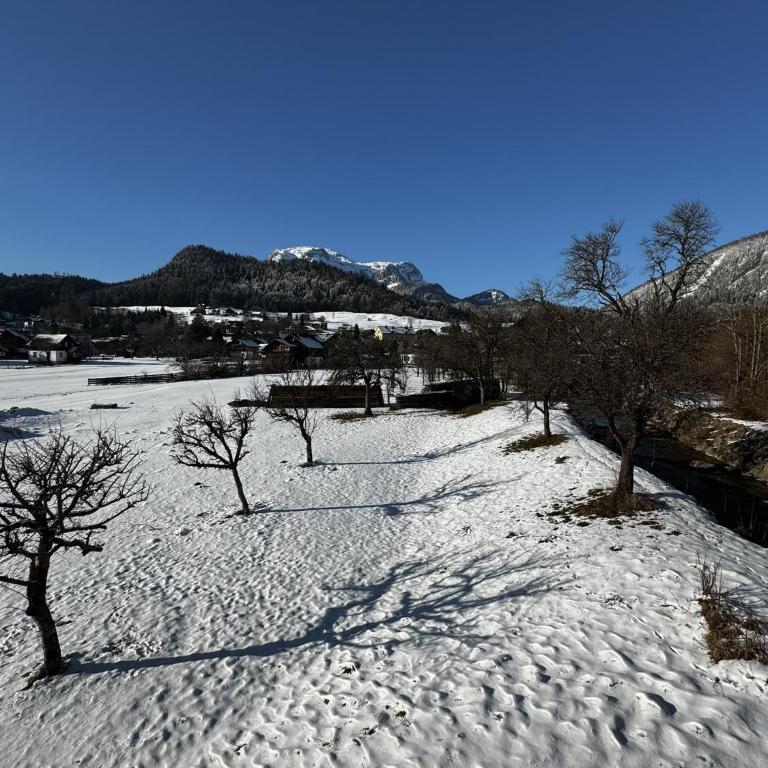Helis Holiday Suites Altaussee - Appartement avec Vue et Balcon - 3