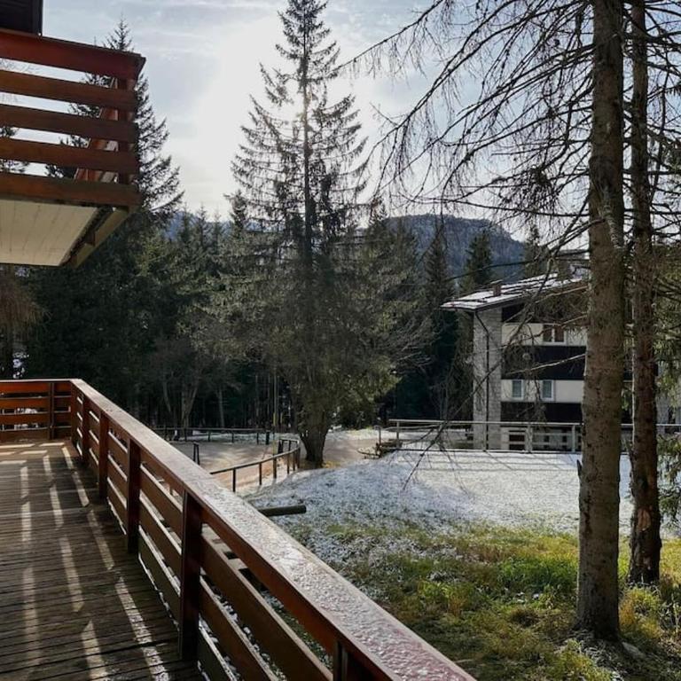 Quadrilocale Alpe Grostè - Serafini - Appartamento con 3 Camere da Letto - 18