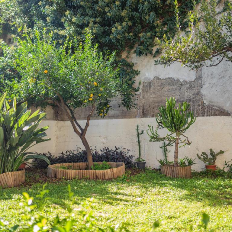 Atenasio Garden Suite con giardino privato e parcheggio a Taormina Relax e Privacy - One-Bedroom Apartment - 28