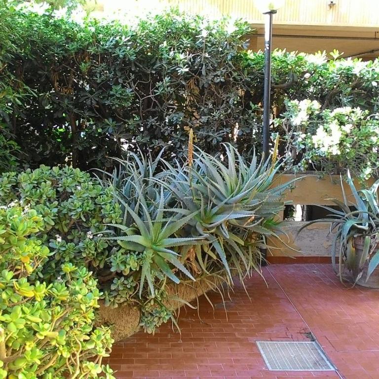 Appartamento Giusy 10 - Apartment mit 2 Schlafzimmern - 6