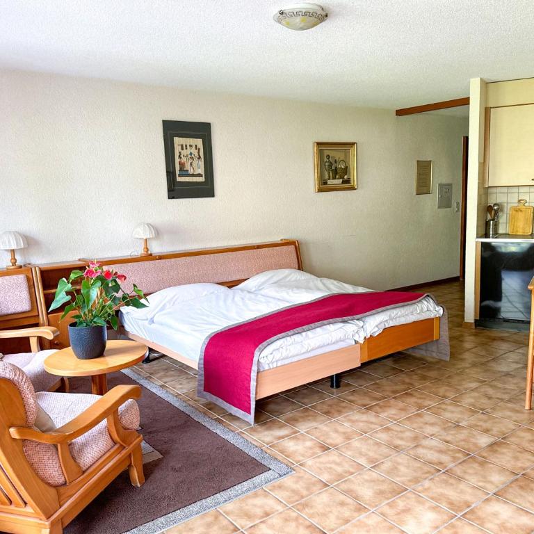 Hôtel des Bains de Saillon - Studio - 1