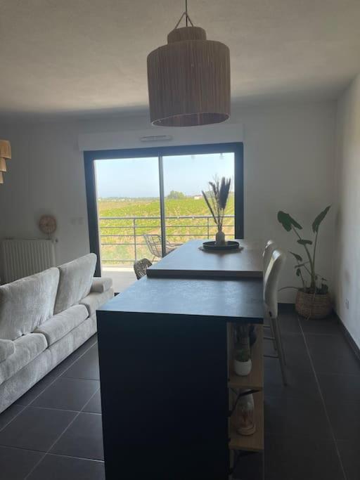 Appartement vue vigne - Apartamento de 1 dormitorio - 10