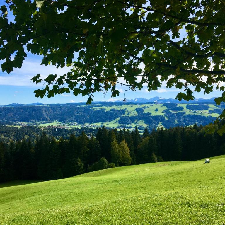 Ferienwohnung Panorama pur - Gemütlich, ruhige Lage mit Loggia und Panoramablick - Apartamento con vistas al lago - 16