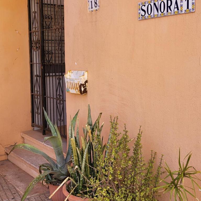Seabreeze Suite, La Mata Retreat - Apartamento de 1 dormitorio - 25