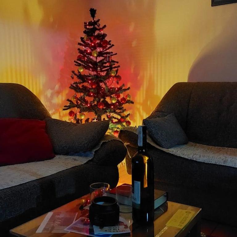 Ski Deki - Two-Bedroom Apartment - 12