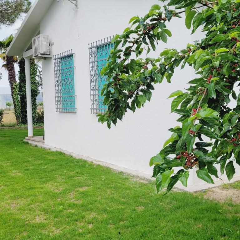 Bungalow bei Emma - Casa con 2 Camere da Letto - 13