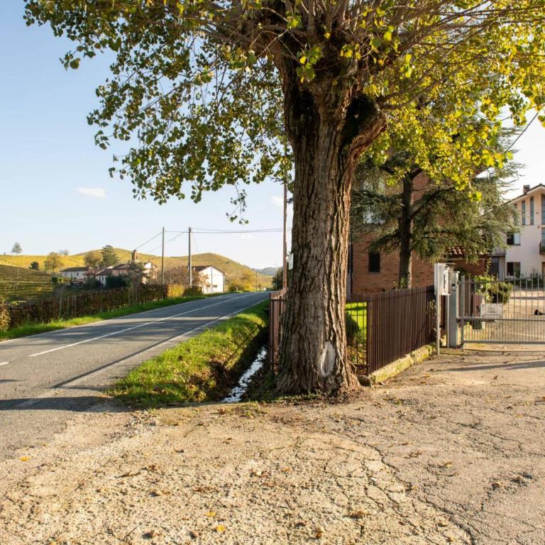 Casa Rubbo - Appartamento in collina 'Monviso' - Appartamento con Balcone - 21
