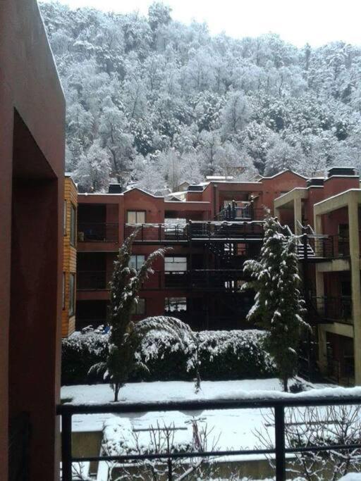 Luminosas Vacaciones - One-Bedroom Apartment - 5