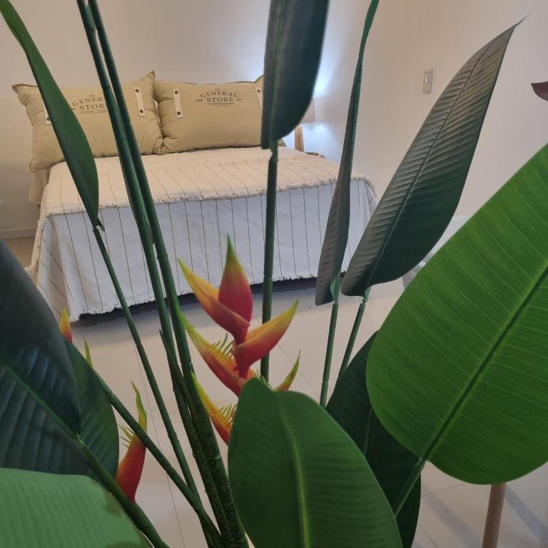 Altos de Centro Chivilcoy II - Apartamento de 1 dormitorio - 9