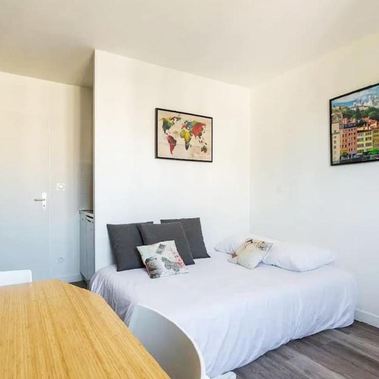 ONE NIGHT in LYON - UNE NUIT à LYON - Appartement 1 Chambre - 17