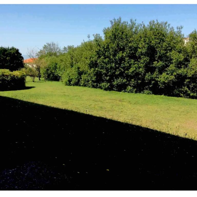 centre et plage F1 calme vue parc parking gratuit - Appartamento con 1 Camera da Letto - 1