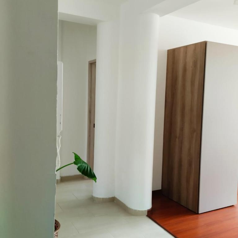 Apartamento 401 - Apartamento de 2 dormitorios - 19