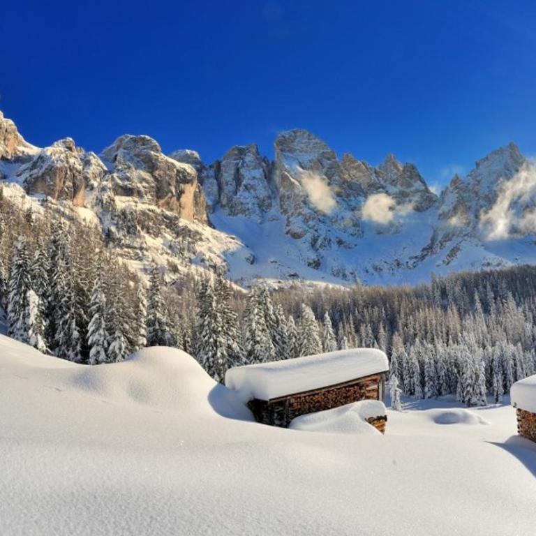 trilocale panorama val di fiemme - Appartamento con 2 Camere da Letto - 17